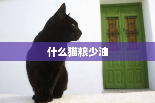 什么貓糧少油