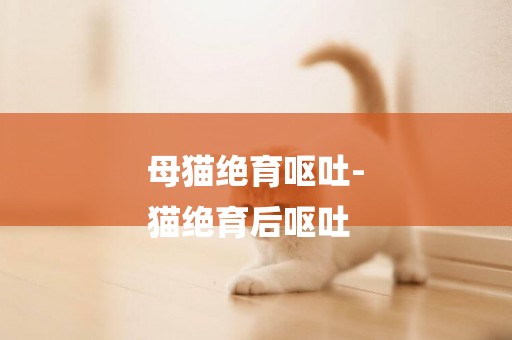 母貓絕育嘔吐-
貓絕育后嘔吐