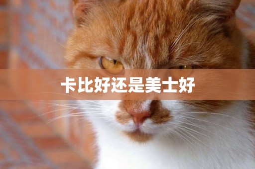 卡比好還是美士好