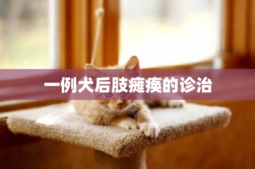 一例犬后肢癱瘓的診治