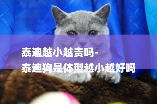 泰迪越小越貴嗎-
泰迪狗是體型越小越好嗎