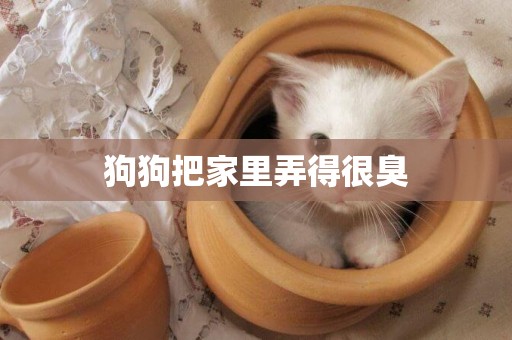 狗狗把家里弄得很臭
