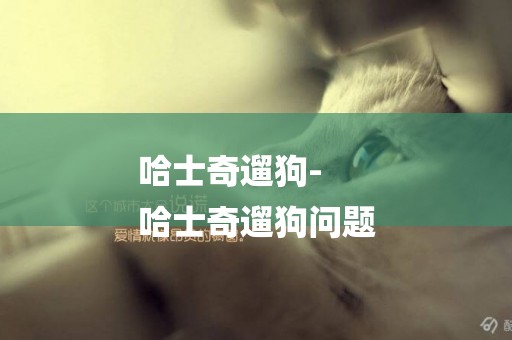 哈士奇遛狗-
哈士奇遛狗問題