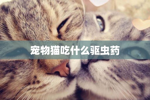 寵物貓吃什么驅蟲藥