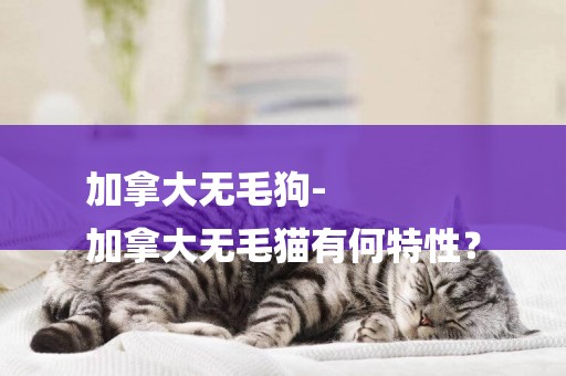 加拿大無毛狗-
加拿大無毛貓有何特性？