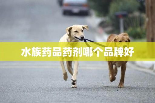 水族藥品藥劑哪個品牌好