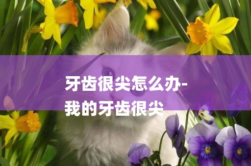 牙齒很尖怎么辦-
我的牙齒很尖