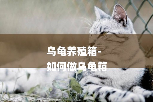 烏龜養殖箱-
如何做烏龜箱