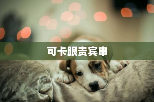 可卡跟貴賓串