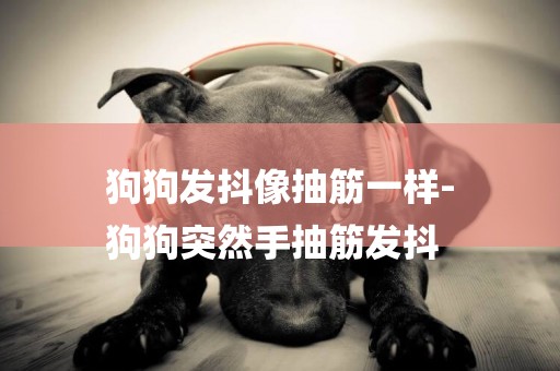 狗狗發抖像抽筋一樣-
狗狗突然手抽筋發抖