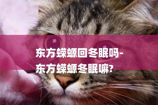 東方蠑螈回冬眠嗎-
東方蠑螈冬眠嘛?