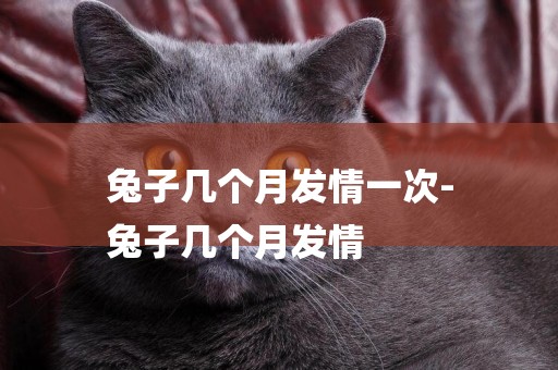兔子幾個月發情一次-
兔子幾個月發情