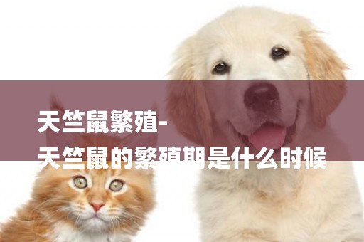 天竺鼠繁殖-
天竺鼠的繁殖期是什么時候