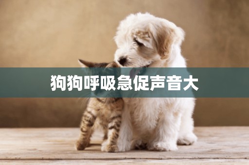 狗狗呼吸急促聲音大