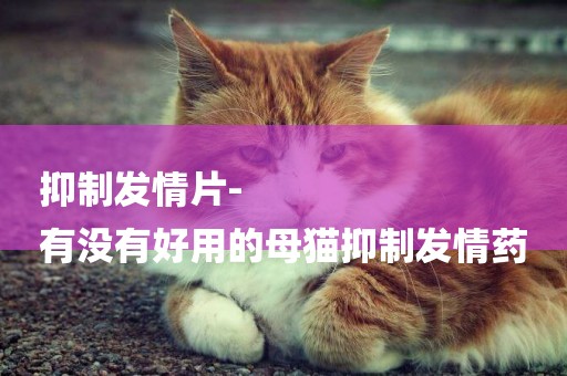 抑制發情片-
有沒有好用的母貓抑制發情藥