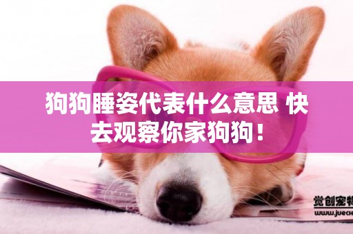 狗狗睡姿代表什么意思 快去觀察你家狗狗！