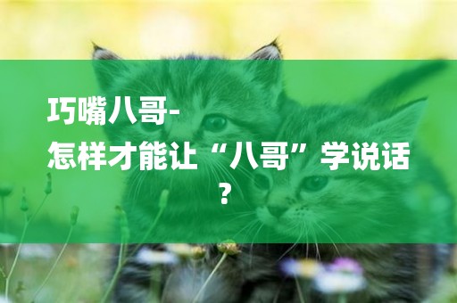 巧嘴八哥-
怎樣才能讓“八哥”學說話? 　