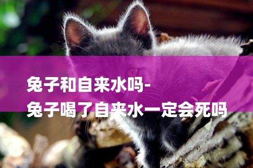 兔子和自來水嗎-
兔子喝了自來水一定會死嗎