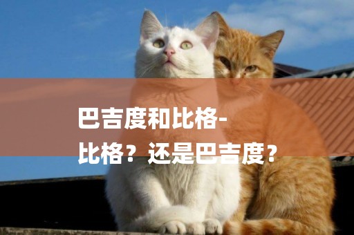 巴吉度和比格-
比格？還是巴吉度？