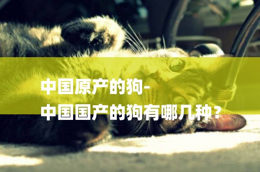 中國原產的狗-
中國國產的狗有哪幾種？