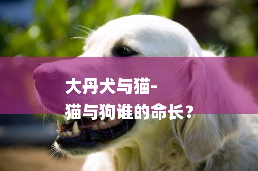大丹犬與貓-
貓與狗誰的命長？