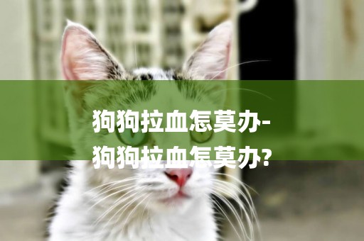 狗狗拉血怎莫辦-
狗狗拉血怎莫辦?