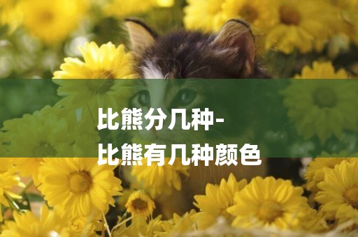 比熊分幾種-
比熊有幾種顏色