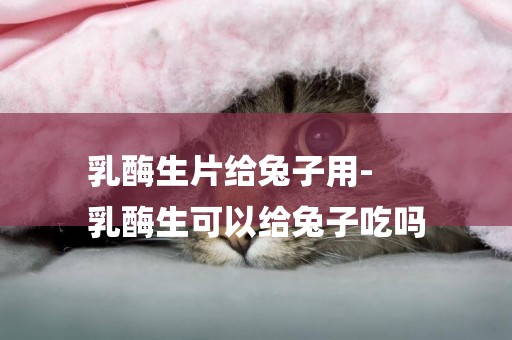 乳酶生片給兔子用-
乳酶生可以給兔子吃嗎