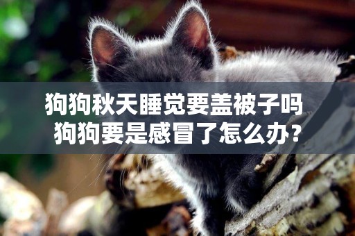 狗狗秋天睡覺要蓋被子嗎 狗狗要是感冒了怎么辦？