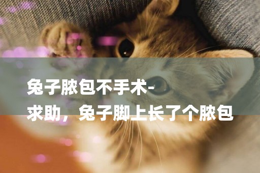 兔子膿包不手術-
求助，兔子腳上長了個膿包