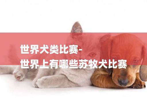 世界犬類比賽-
世界上有哪些蘇牧犬比賽