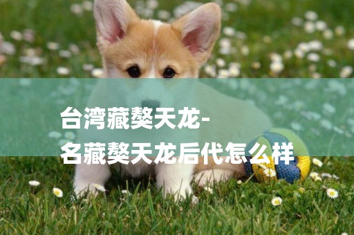 臺灣藏獒天龍-
名藏獒天龍后代怎么樣