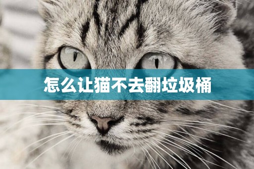 怎么讓貓不去翻垃圾桶