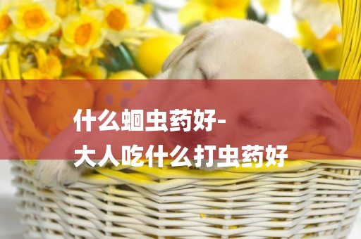 什么蛔蟲藥好-
大人吃什么打蟲藥好
