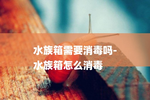 水族箱需要消毒嗎-
水族箱怎么消毒