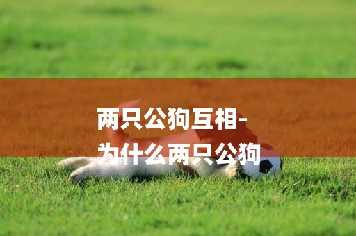 兩只公狗互相-
為什么兩只公狗