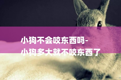 小狗不會咬東西嗎-
小狗多大就不咬東西了