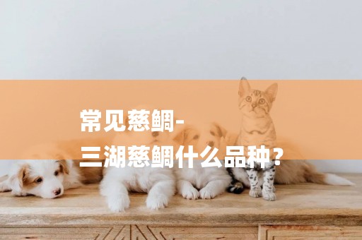 常見慈鯛-
三湖慈鯛什么品種？