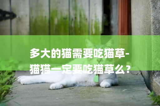 多大的貓需要吃貓草-
貓貓一定要吃貓草么？