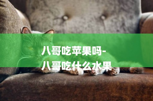 八哥吃蘋果嗎-
八哥吃什么水果