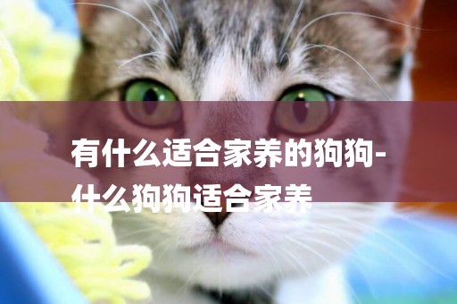有什么適合家養的狗狗-
什么狗狗適合家養