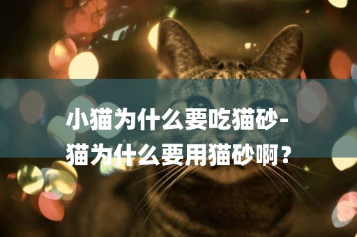 小貓為什么要吃貓砂-
貓為什么要用貓砂啊？