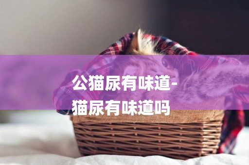 公貓尿有味道-
貓尿有味道嗎