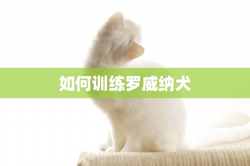 如何訓練羅威納犬