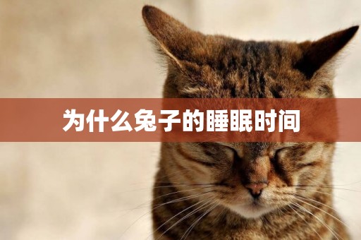 為什么兔子的睡眠時間