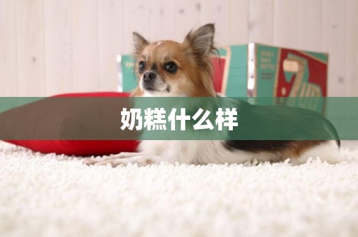 奶糕什么樣