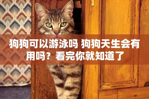 狗狗可以游泳嗎 狗狗天生會有用嗎？看完你就知道了