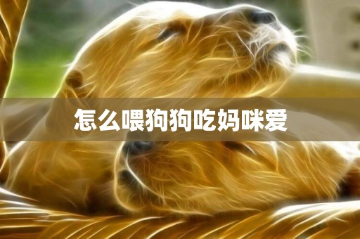 怎么喂狗狗吃媽咪愛