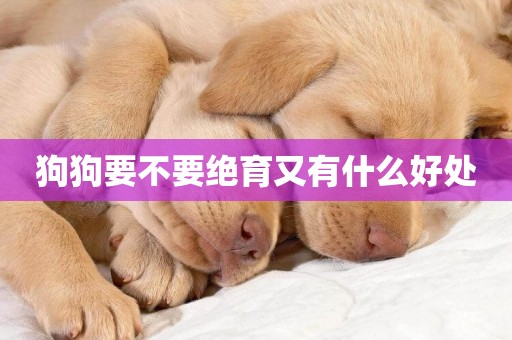 狗狗要不要絕育又有什么好處