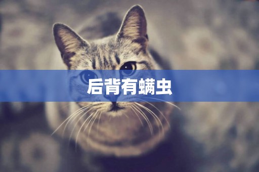后背有螨蟲